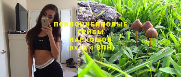 мескалин Богородск